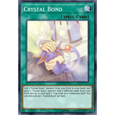 Crystal Bond - SDCB-EN046 - 1st edition