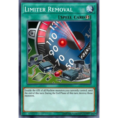 Limiter Removal - CP01-EN007 - unlimited